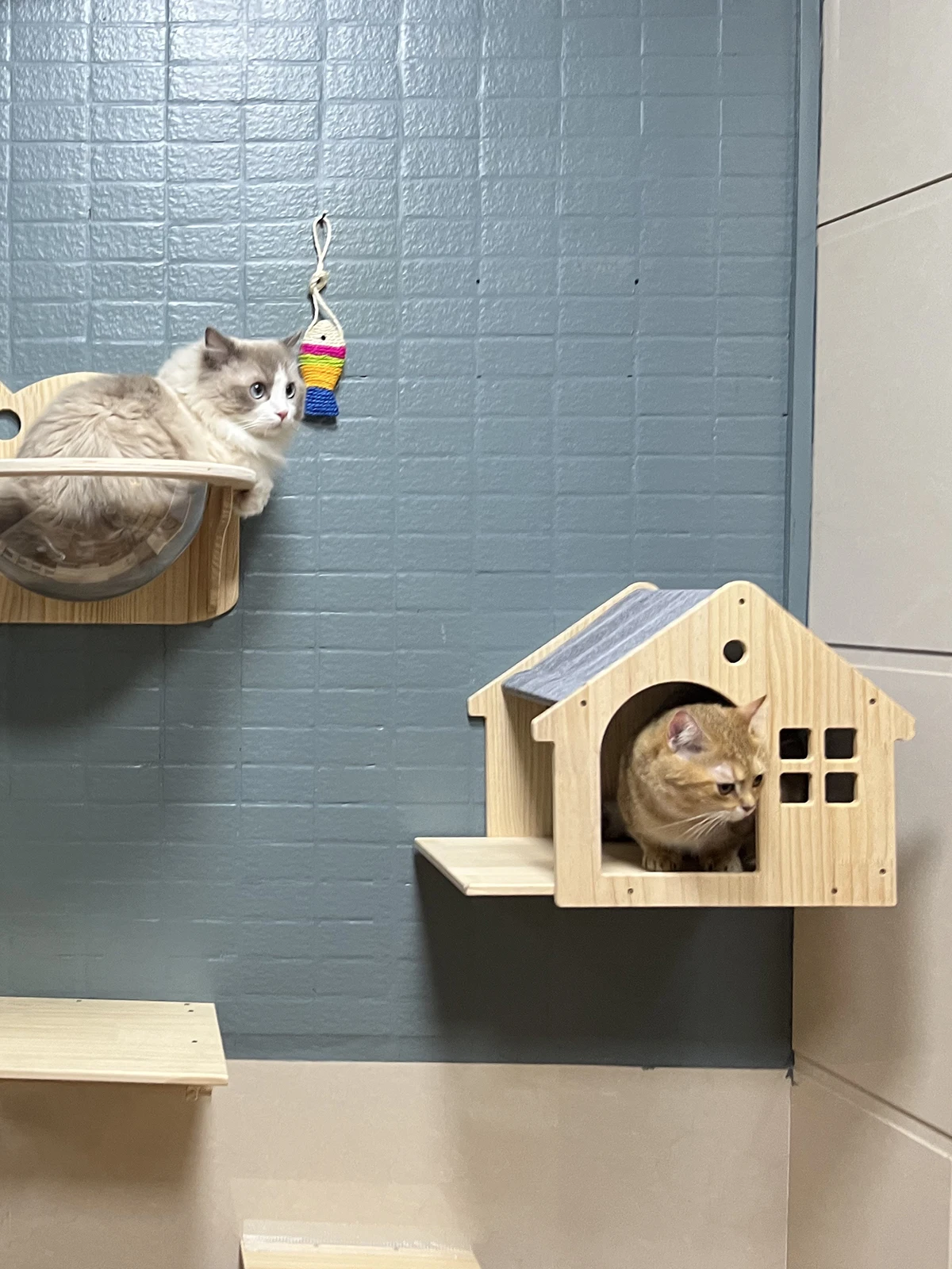 Maison murale pour chat – Cachette et perchoir mural en bois – Image 5