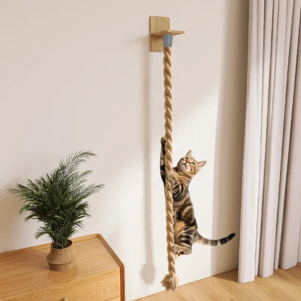 Griffoir mural pour chat – Tour à grimper en corde de jute robuste