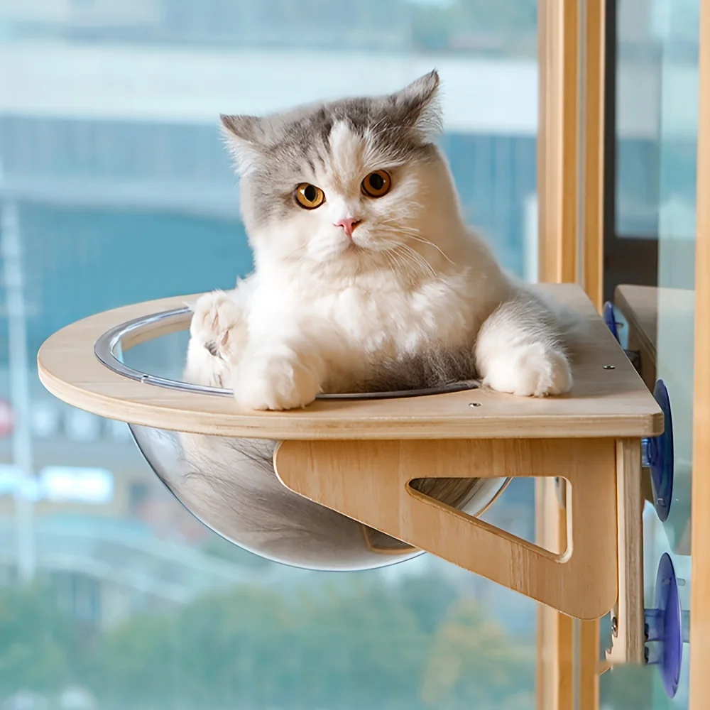 Perchoir bulle en bois fixé par ventouses à une baie vitrée, un chat blanc et gris installé à l'intérieur.