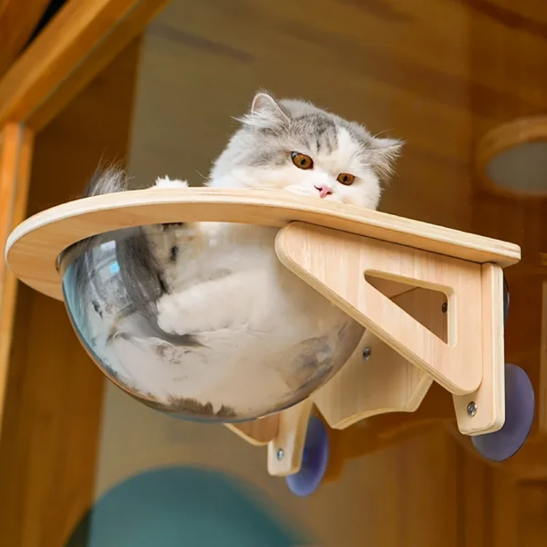 Perchoir bulle de fenêtre pour chat – Nid capsule en bois, sans percer